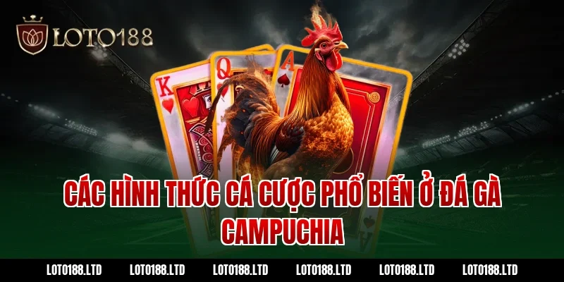 Các hình thức cá cược phổ biến ở đá gà Campuchia