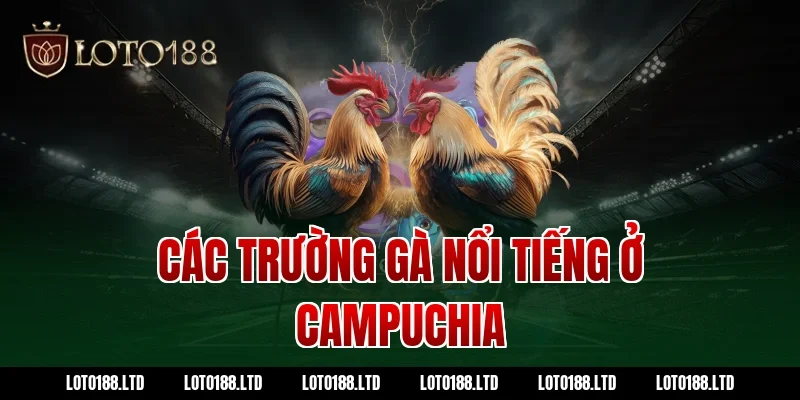 Các trường gà nổi tiếng ở Campuchia
