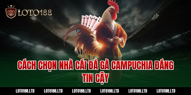 Cách chọn nhà cái đá gà Campuchia đáng tin cậy