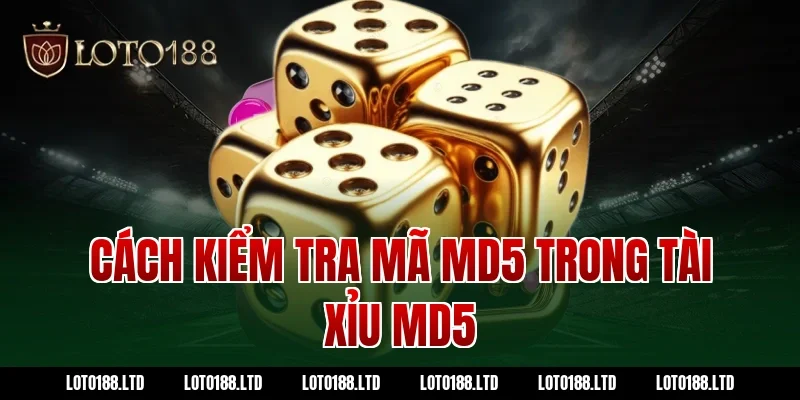 Cách kiểm tra mã MD5 trong tài xỉu md5