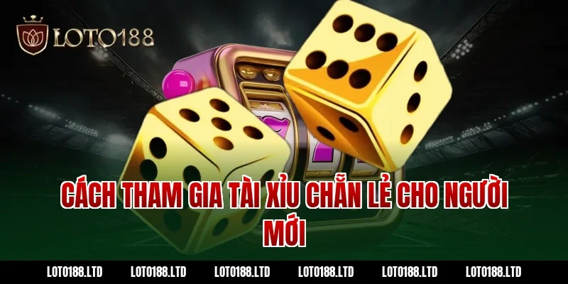 Cách tham gia tài xỉu chẵn lẻ cho người mới