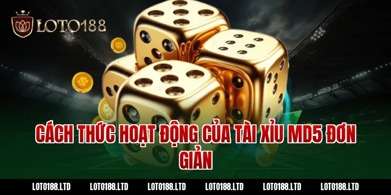 Cách thức hoạt động của tài xỉu md5 đơn giản