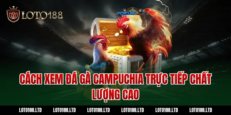 Cách xem đá gà Campuchia trực tiếp chất lượng cao