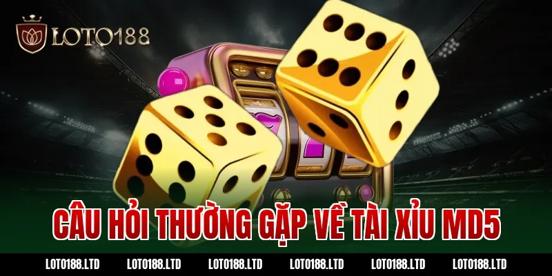 Câu hỏi thường gặp về tài xỉu md5