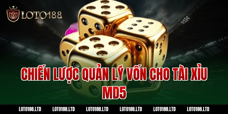 Chiến lược quản lý vốn cho tài xỉu md5