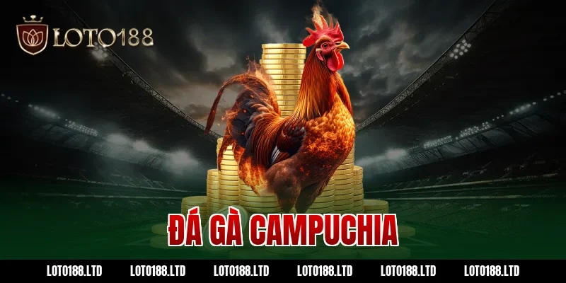 đá gà campuchia