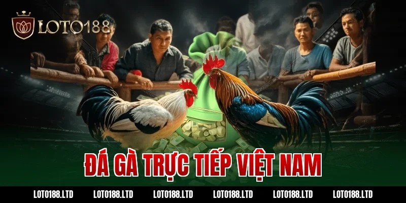 đá gà trực tiếp việt nam