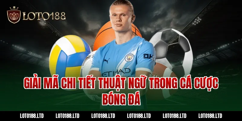 Giải mã chi tiết thuật ngữ trong cá cược bóng đá