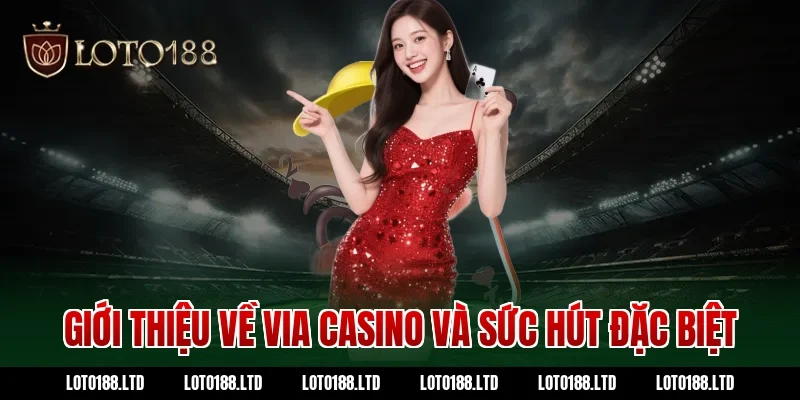 Giới thiệu về via casino và sức hút đặc biệt