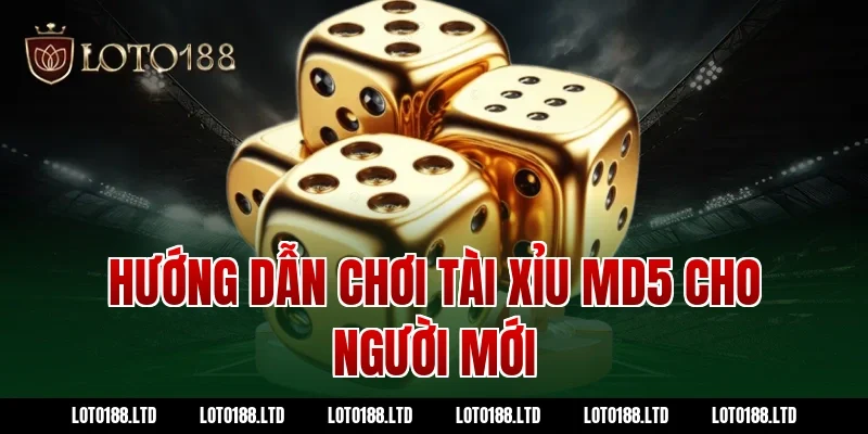 Hướng dẫn chơi tài xỉu md5 cho người mới