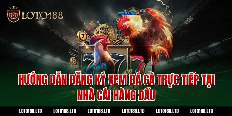 Hướng dẫn đăng ký xem đá gà trực tiếp tại nhà cái hàng đầu