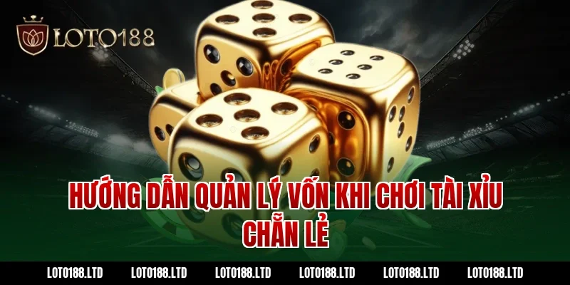Hướng dẫn quản lý vốn khi chơi tài xỉu chẵn lẻ