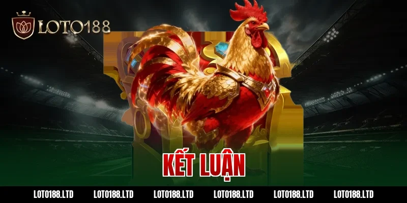 Kết luận