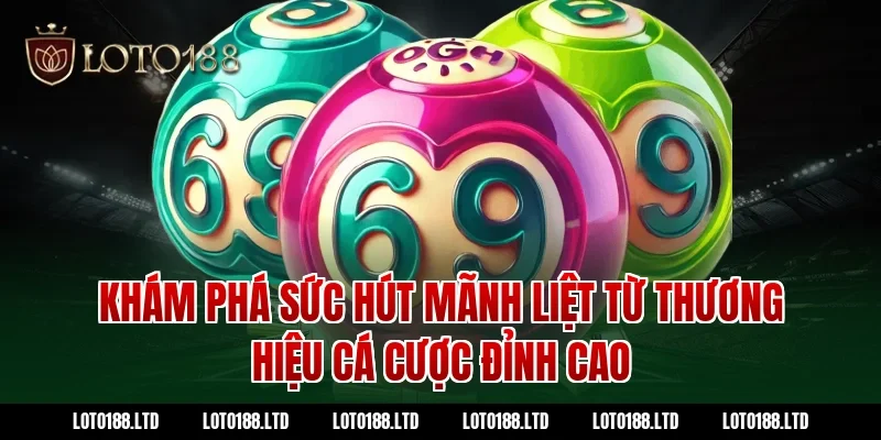 Khám phá sức hút mãnh liệt từ thương hiệu cá cược đỉnh cao