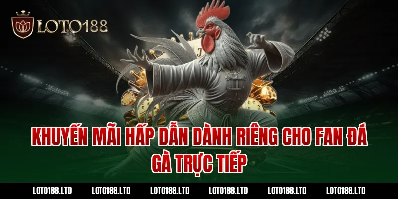 Khuyến mãi hấp dẫn dành riêng cho fan đá gà trực tiếp