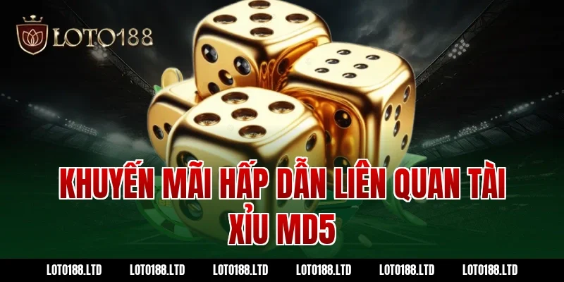 Khuyến mãi hấp dẫn liên quan tài xỉu md5
