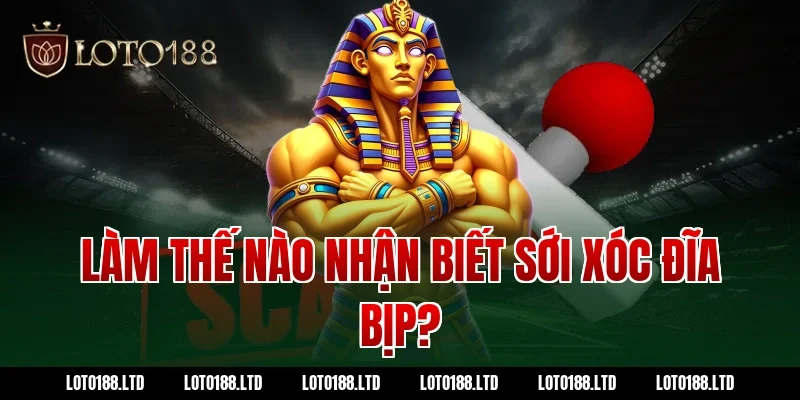 Làm thế nào nhận biết sới xóc đĩa bịp?