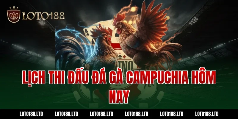 Lịch thi đấu đá gà Campuchia hôm nay