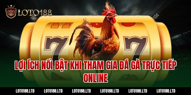 Lợi ích nổi bật khi tham gia đá gà trực tiếp online