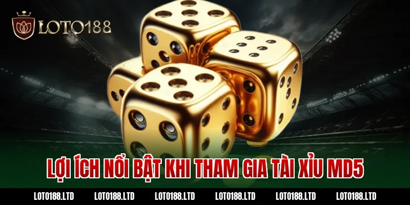 Lợi ích nổi bật khi tham gia tài xỉu md5