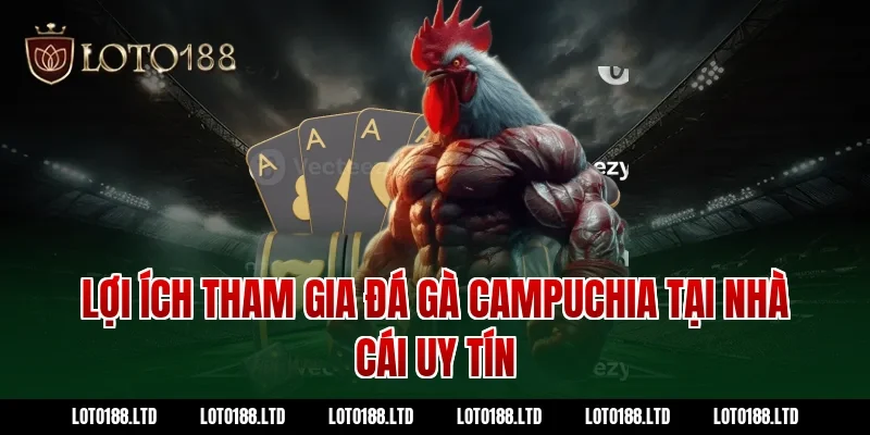 Lợi ích tham gia đá gà Campuchia tại nhà cái uy tín