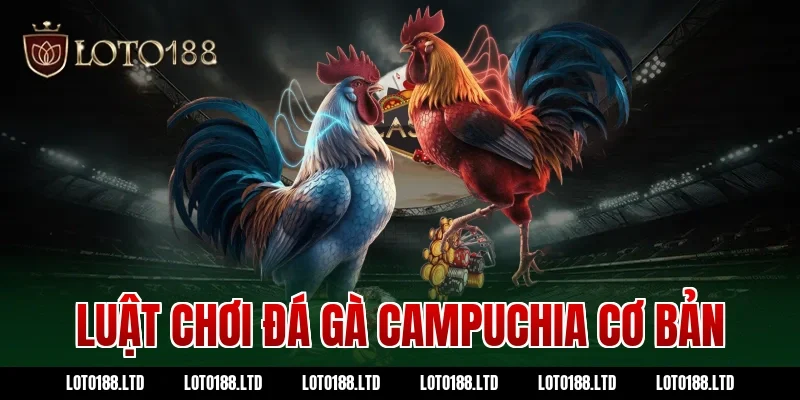Luật chơi đá gà Campuchia cơ bản