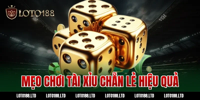 Mẹo chơi tài xỉu chẵn lẻ hiệu quả