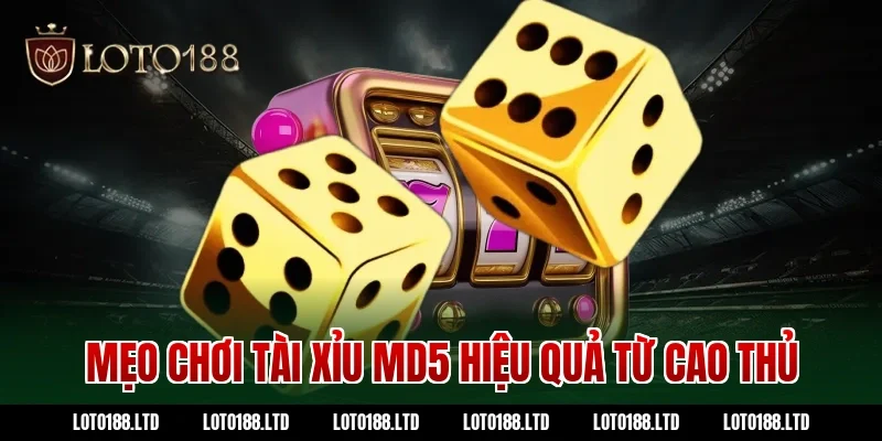 Mẹo chơi tài xỉu md5 hiệu quả từ cao thủ