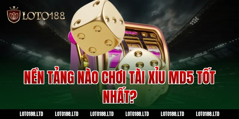 Nền tảng nào chơi tài xỉu md5 tốt nhất?