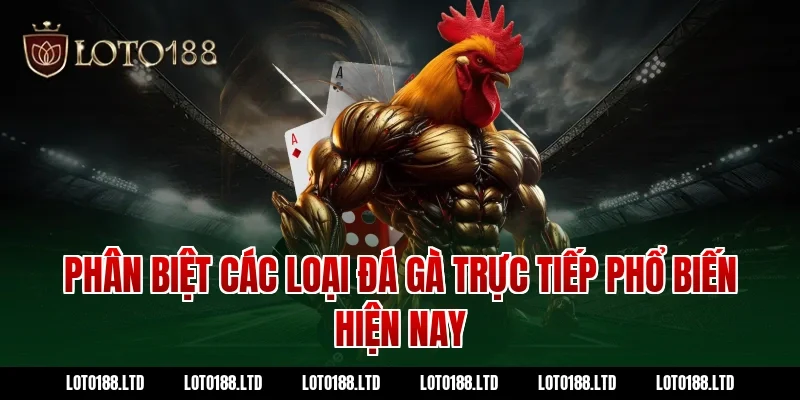 Phân biệt các loại đá gà trực tiếp phổ biến hiện nay