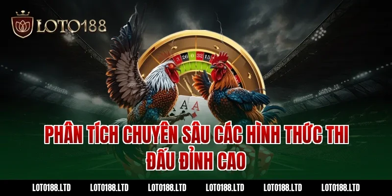 Phân tích chuyên sâu các hình thức thi đấu đỉnh cao
