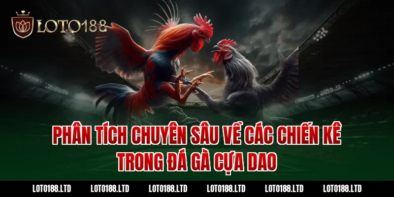 Phân tích chuyên sâu về các chiến kê trong đá gà cựa dao