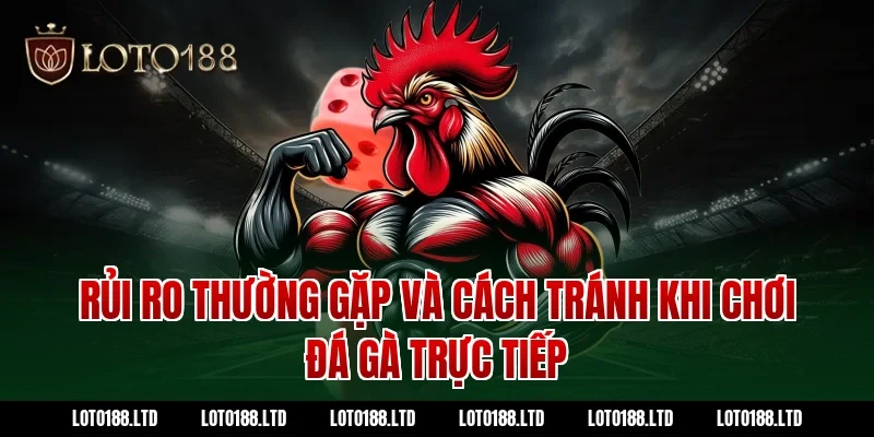 Rủi ro thường gặp và cách tránh khi chơi đá gà trực tiếp