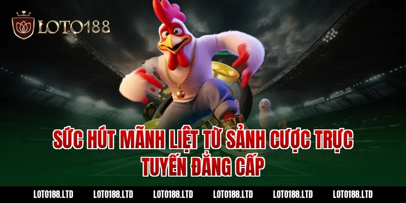 Sức hút mãnh liệt từ sảnh cược trực tuyến đẳng cấp