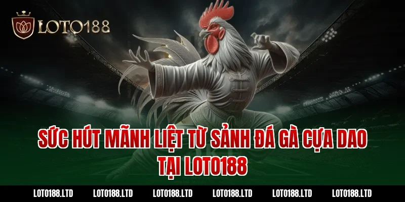 Sức hút mãnh liệt từ sảnh đá gà cựa dao tại Loto188