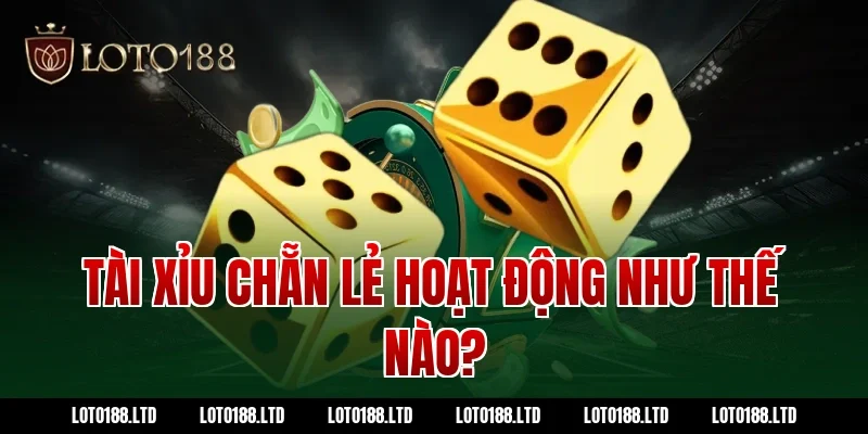 Tài xỉu chẵn lẻ hoạt động như thế nào?