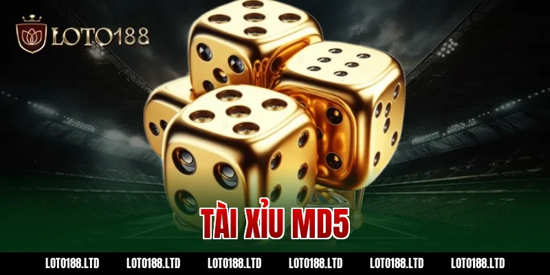 tài xỉu md5