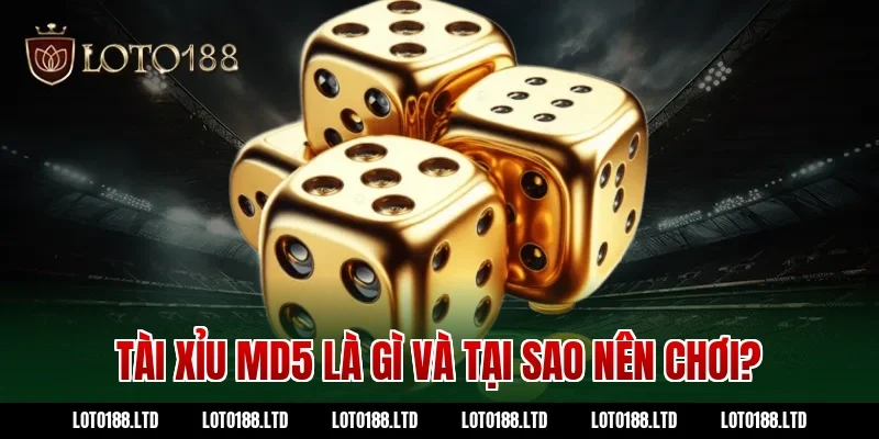 Tài xỉu md5 là gì và tại sao nên chơi?