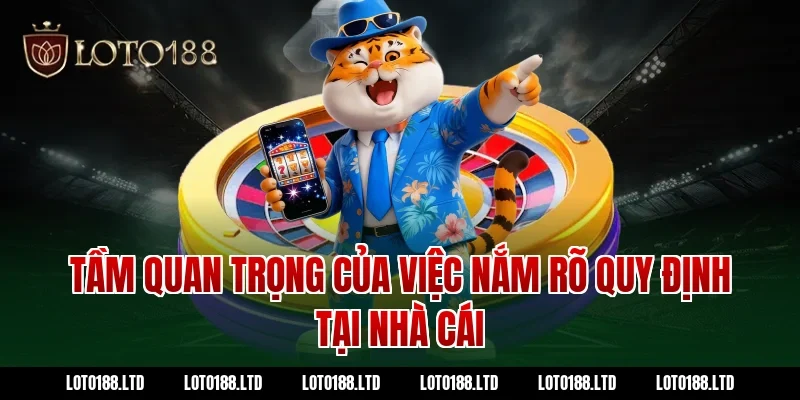 Tầm quan trọng của việc nắm rõ quy định tại nhà cái