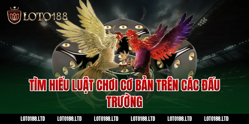 Tìm hiểu luật chơi cơ bản trên các đấu trường