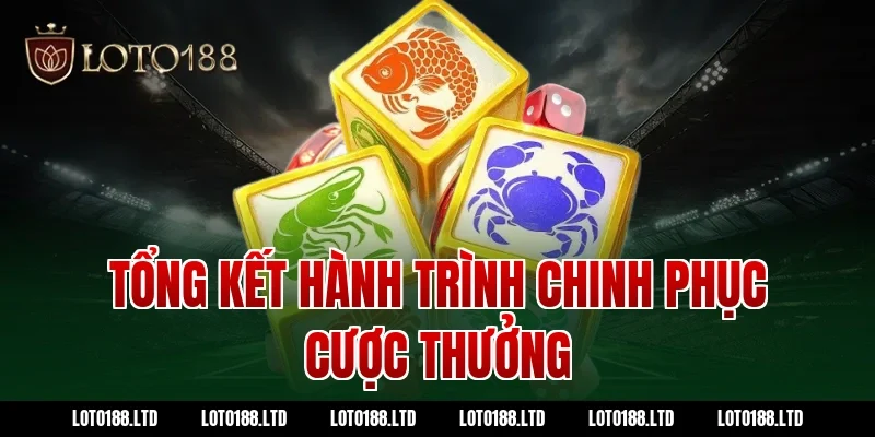 Tổng Kết Hành Trình Chinh Phục Cược Thưởng