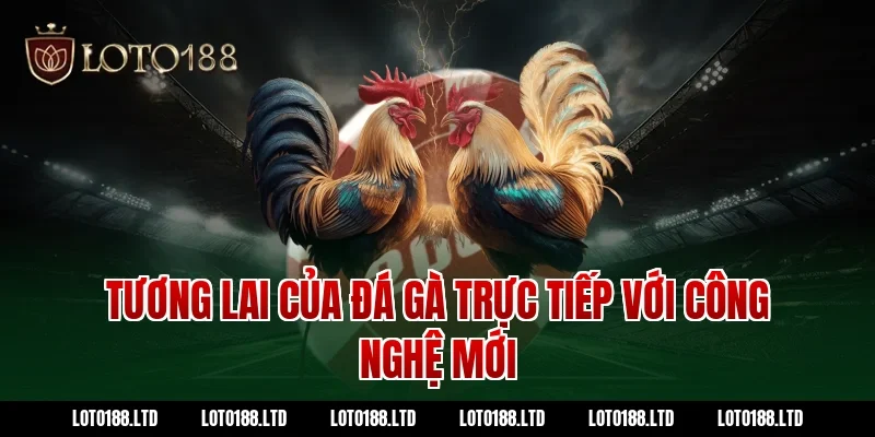 Tương lai của đá gà trực tiếp với công nghệ mới