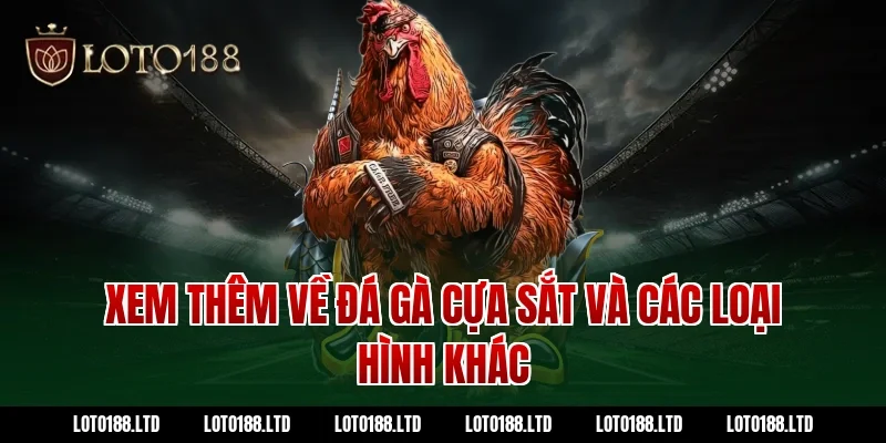 Xem thêm về đá gà cựa sắt và các loại hình khác